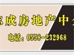 房產(chǎn)建材黃頁與城市聯(lián)盟 房地產(chǎn)中介服務(wù)的新生態(tài)